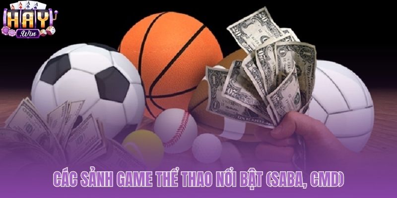 Thể thao Haywin cung cấp sảnh Saba và CMD với thế mạnh riêng