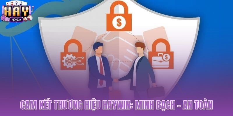Giới thiệu Haywin qua ba cam kết nền tảng thương hiệu