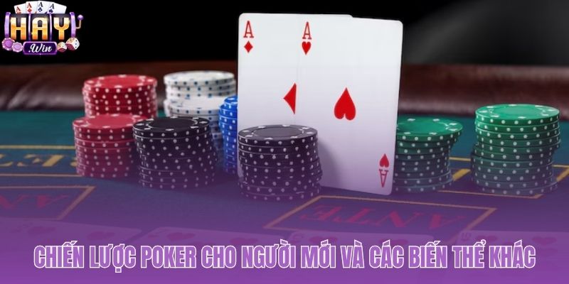 Chiến thuật khởi đầu gồm chọn lọc bài và tận dụng vị trí