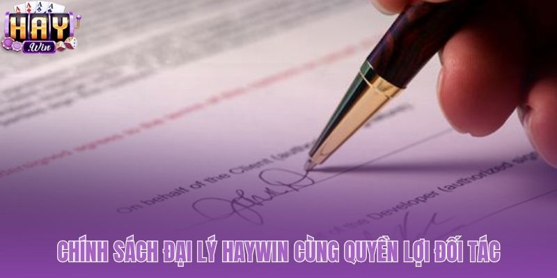 Chính sách đại lý Haywin với hoa hồng hấp dẫn đến 65%