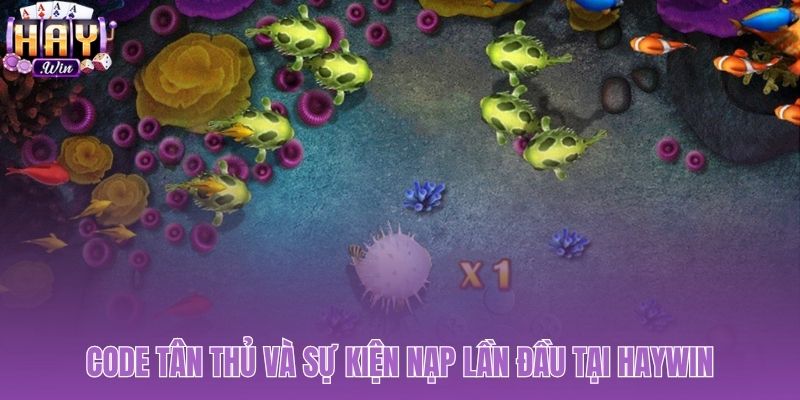 Những ưu đãi khởi đầu giá trị cho người chơi mới