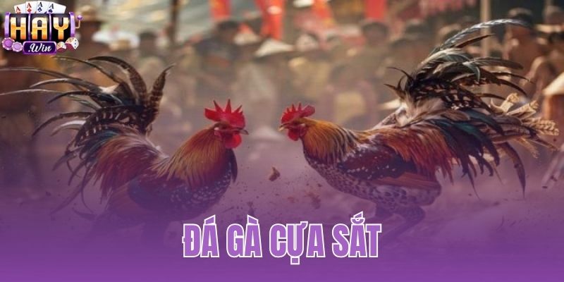 Đá Gà Cựa Sắt
