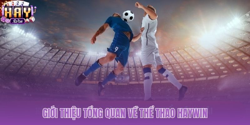 Tổng quan sức mạnh thể thao Haywin qua sản phẩm và công nghệ