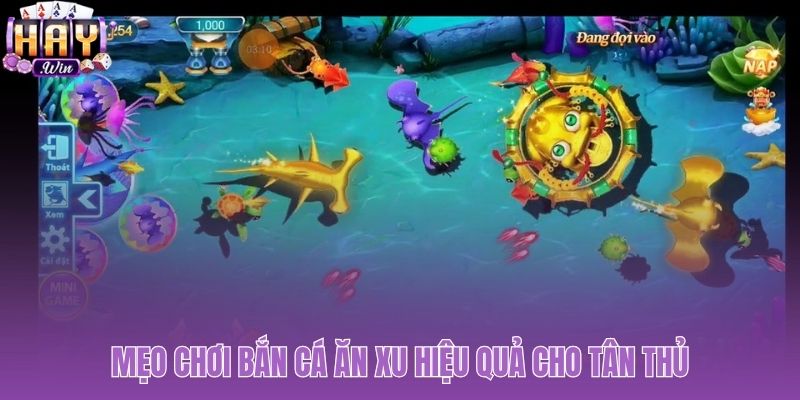 Hướng dẫn chiến thuật bắn cá ăn xu từ tỉa rìa đến săn boss