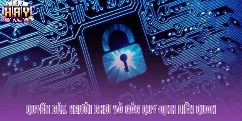 Chính sách bảo mật dữ liệu đảm bảo quyền kiểm soát dữ liệu