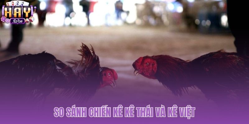 Đối đầu phong cách tốc độ kê Thái và sức bền kê Việt