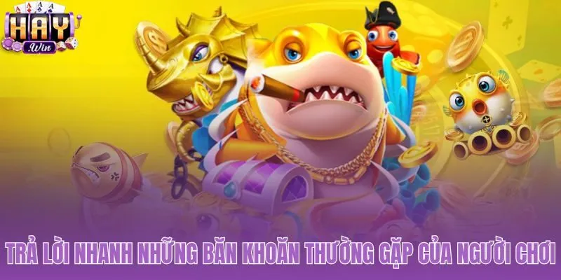 Chuyên mục hỗ trợ giải đáp tốc hành các câu hỏi phổ biến tại Haywin